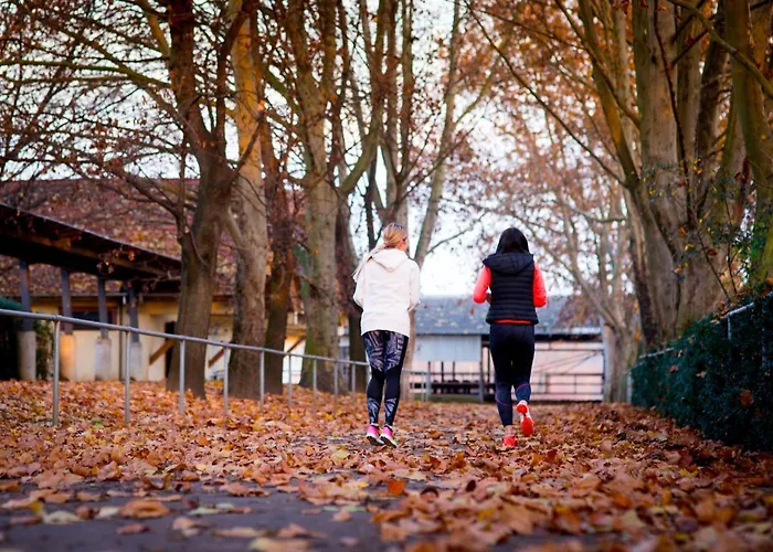 Pagony Wellness Nyiregyhaza