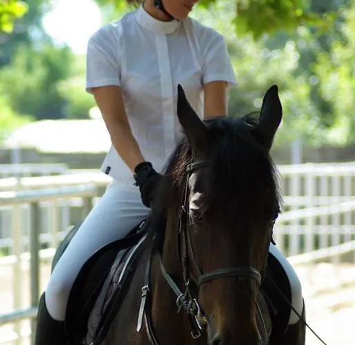 Pagony Wellness Hotel