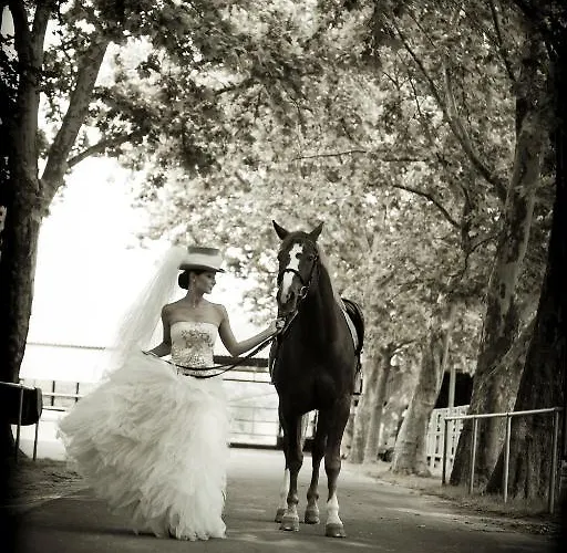 Hotel Pagony Wellness Nyiregyhaza